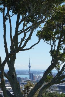 天空塔-奥克兰
