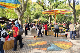 2020年共青菊花展百菊图(上)