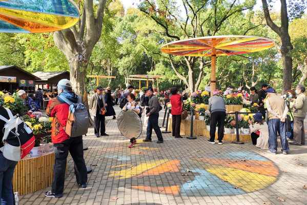 2020年共青菊花展百菊图（上）