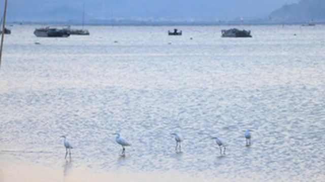 霞浦不仅有北岐滩涂,还有南岐滩涂,让你体验不一样的风景