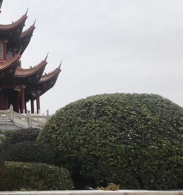 五岭公园旅行图片 4