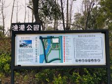 渔港公园-上海