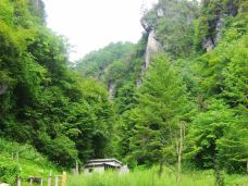 红坪画廊谷-神农架-清风若溪