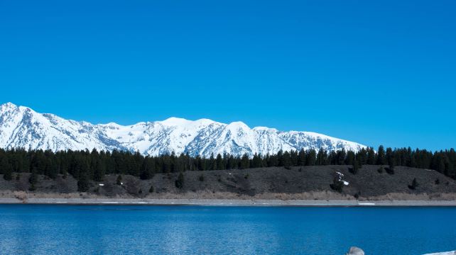 <4天>【13人小团 | 旷野寻踪 | 3天2晚黄石深度游】·盐湖城进出：2晚连住峡谷酒店+大提顿国家公园+杰克逊空中缆车+拉马尔山谷/海登谷有机会观赏野生动物+可选黄石熊世界