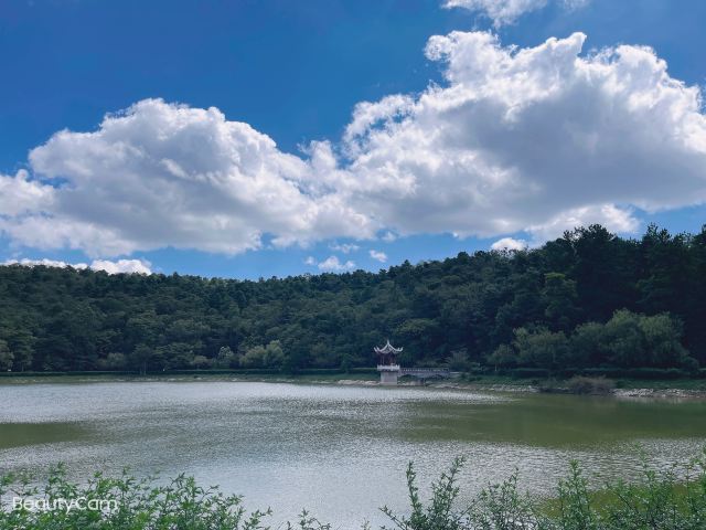 长坡岭国家森林公园旅行图片 3