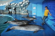 苏州海洋馆-苏州-C-IMAGE