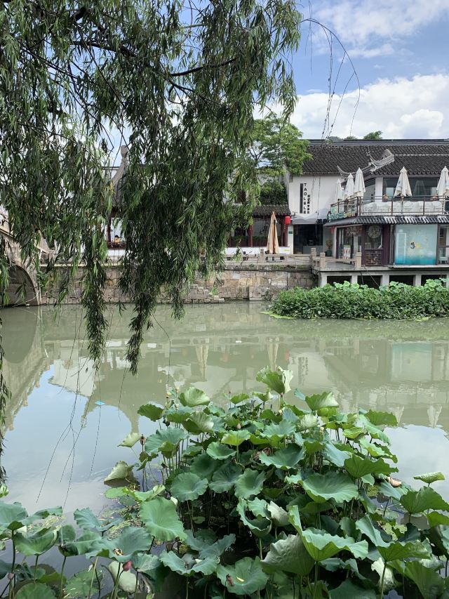 七宝古镇旅行图片 8