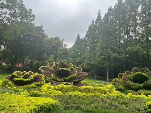 漕溪公园旅行图片 1