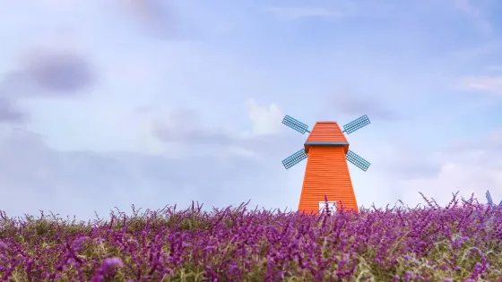 四季·花海-薰衣草基地