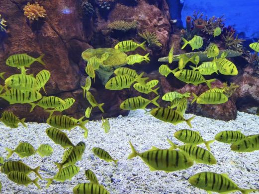 极地海洋馆