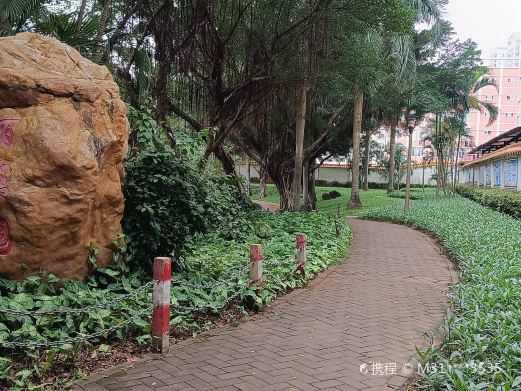 百乐园
