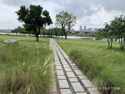 金湾中心河湿地公园
