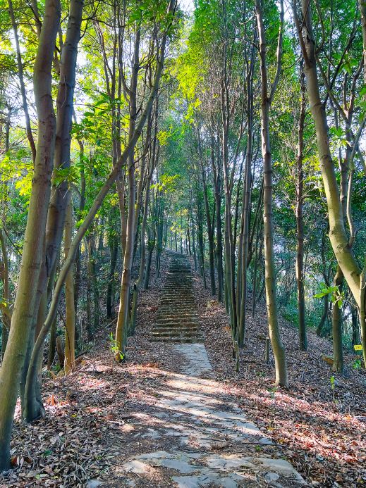 太阳山森林公园