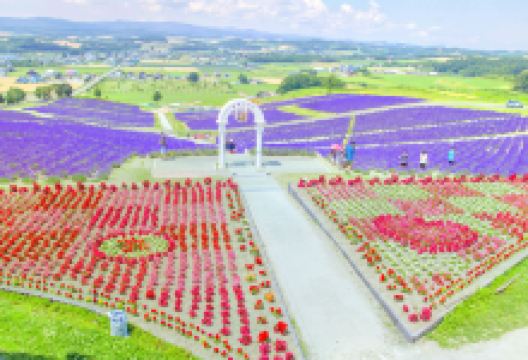 日之出公园景点图片