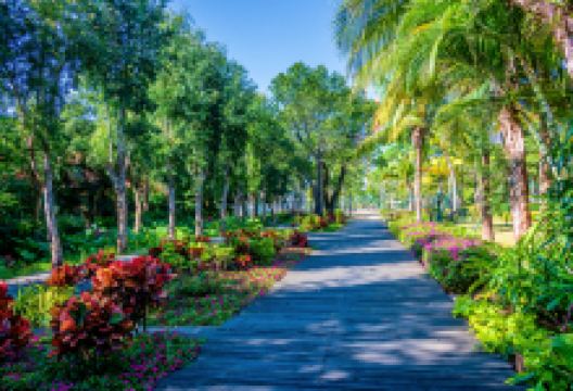 中澳友谊花园景点图片