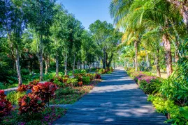 3-Day Zhanjiang Tour: Golden Sands Bay's coastal charm, Chikan's historical architecture