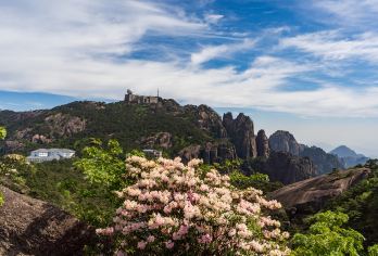黄山风景区一日游【免排队换乘景交直达索道口+登山快人一步】【黄山风景区无需下车换乘景交，减少排队时间，登山快人一步；】