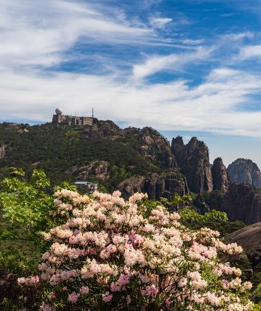 7D6N • Huangshan Scenic Area with shuttle bus and cable car, Qiandao Lake with boat ticket, Wuyuan Huangling with cable car, Hongcun, Xidi and Huizhou Ancient City