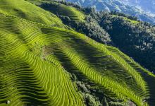 龙脊梯田风景名胜区-金坑梯田景点图片