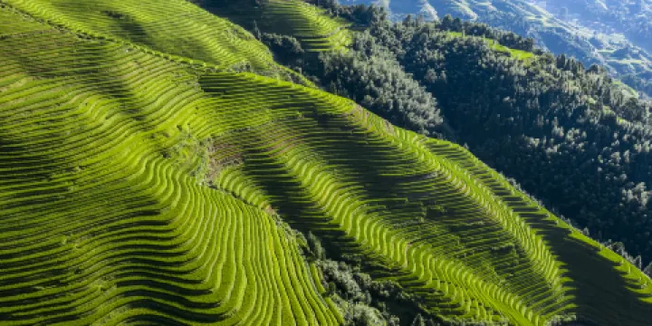 龍脊梯田風景名勝區-金坑梯田