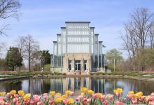 森林公园景点图片