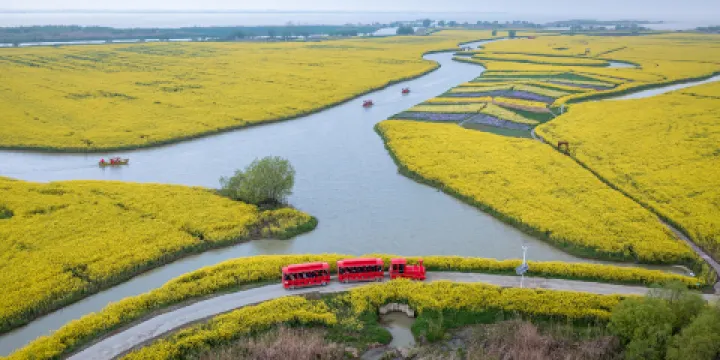 高郵湖灘郊野公園