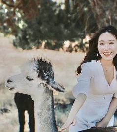 阿德莱德游记图文-在澳大利亚吹着夏天的海风，抱考拉喂袋鼠，尽情拥抱大自然～