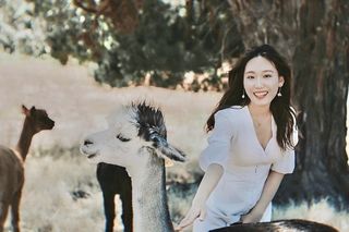 在澳大利亚吹着夏天的海风，抱考拉喂袋鼠，尽情拥抱大自然～