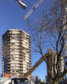 英吉利湾-温哥华-zhulei831230