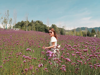 风烟俱净,天山共色——綦江三日游记