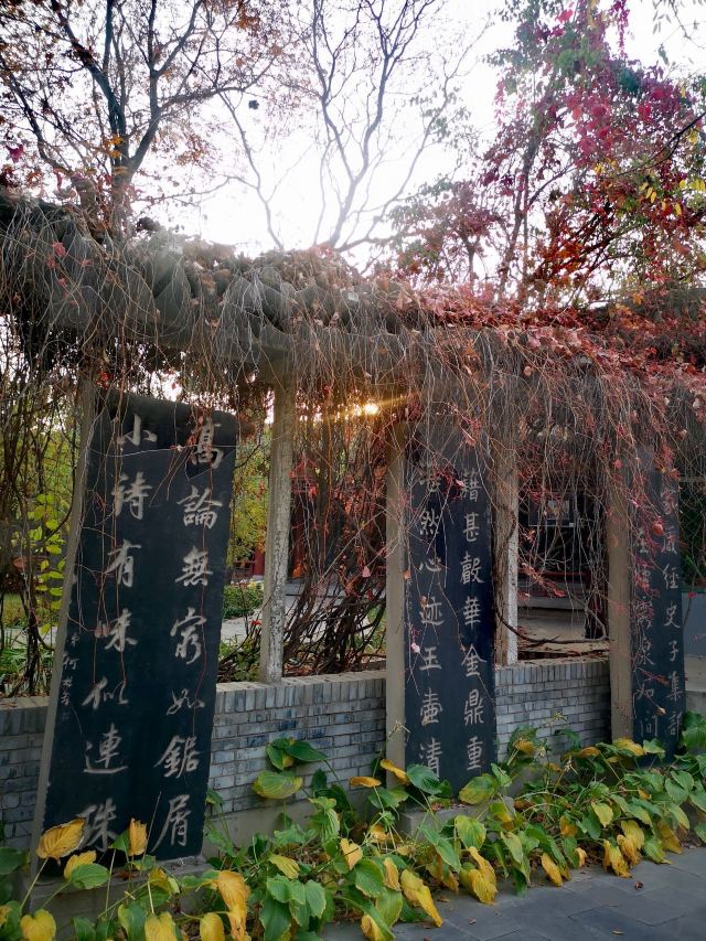 碑林公园旅行图片 3