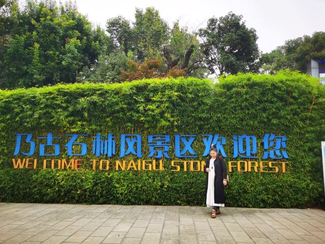 乃古石林风景区旅行图片 3
