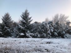 敕勒川公园-呼和浩特-YoYo_9L7F8U9J