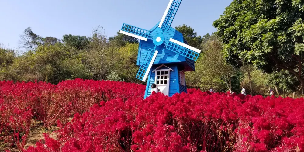 永安旅遊