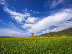 5日-西宁+共和+海北