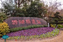 跨湖桥遗址博物馆景点图片