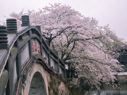 太湖鼋头渚风景区-太湖佳绝处