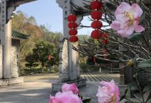 龙公祖庙景点图片
