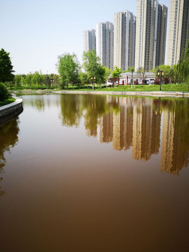 两寺渡公园旅行图片 15