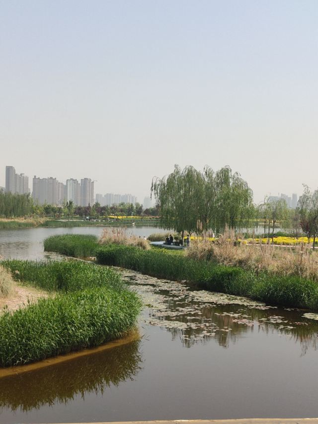 两寺渡公园旅行图片 8