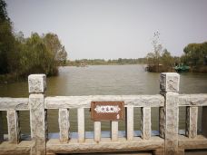 济西国家湿地公园-济南-happy-chb