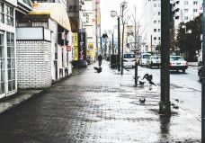 薄野-札幌-hiluoling