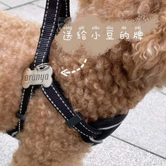 北戴河游记图片] 云烟成海——20210721北戴河阿那亚民宿