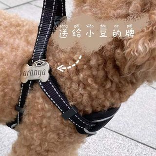 云烟成海——20210721北戴河阿那亚民宿