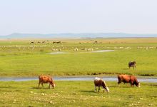 七仙湖景点图片