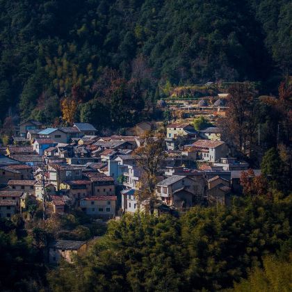 松阳杨家堂村+陈家铺村+酉田村+西坑村+平田村【包车游】