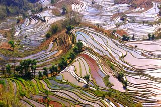 遇见大美中国  感受诗和远方   行走祖国大地系列之二   云南篇（1）哈尼梯田