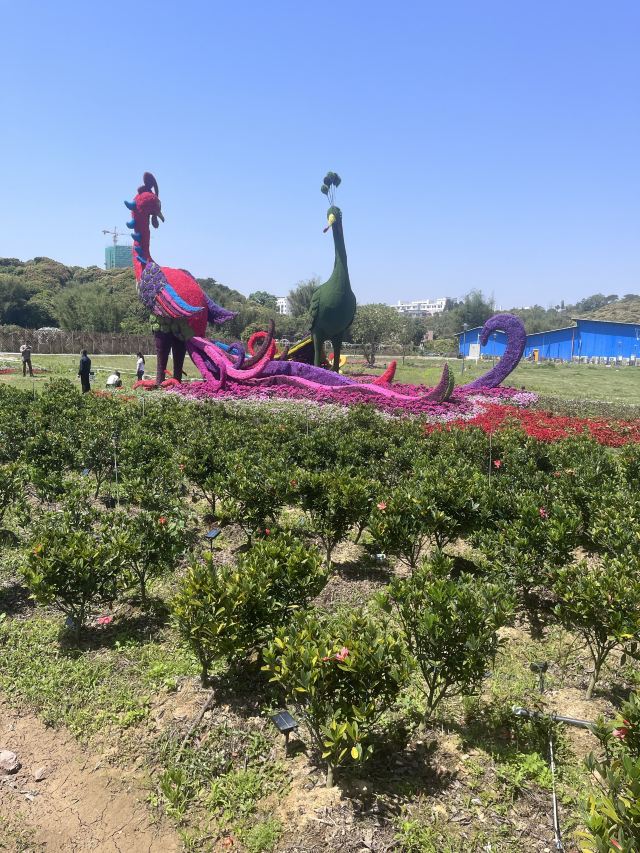 丹凤谷旅行图片 10