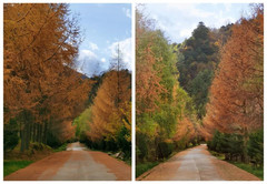 留坝游记图片] 西游记 第三十七回：留坝金秋红岭幽谷撩咋咧，张良韩信人杰殊归咋咧嘛？