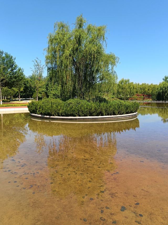 西安浐灞国家湿地公园旅行图片 2